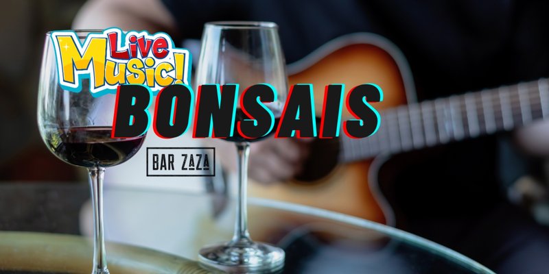 Bonsais at Bar ZaZa