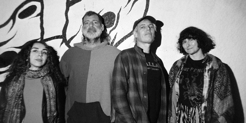 Jeffrey Lewis & The Voltage