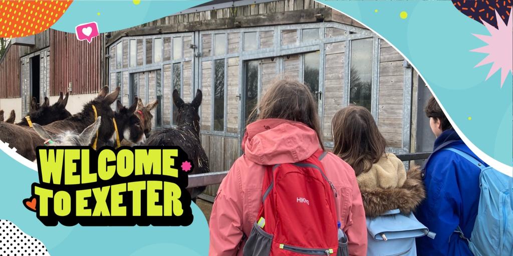 Trip to the Donkey Sanctuary
