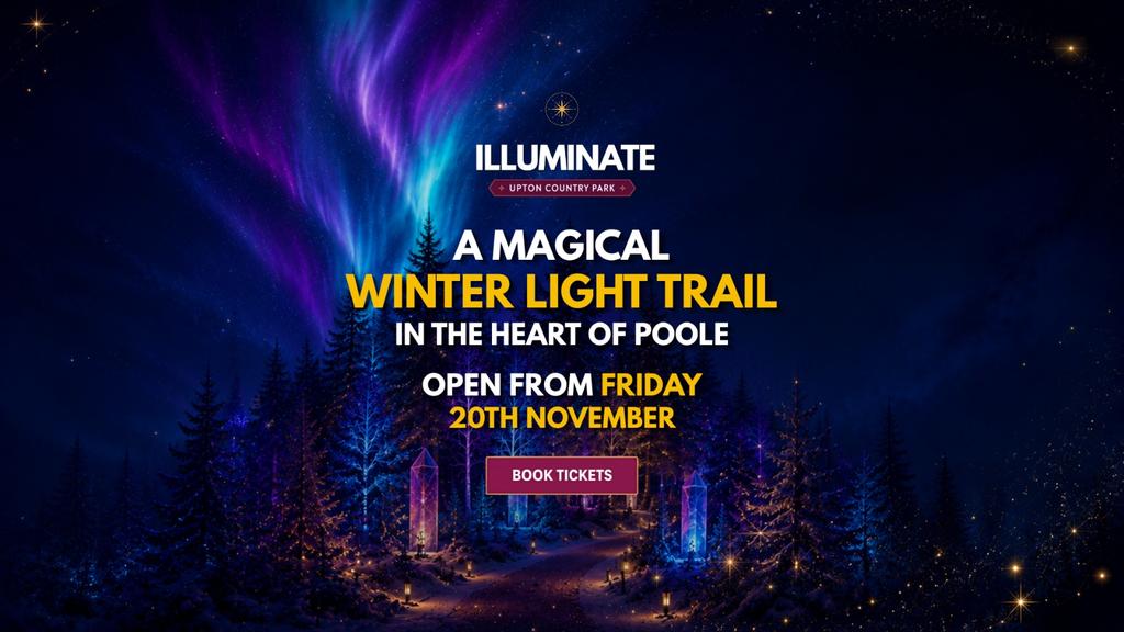 Illuminate at Upton Country Park