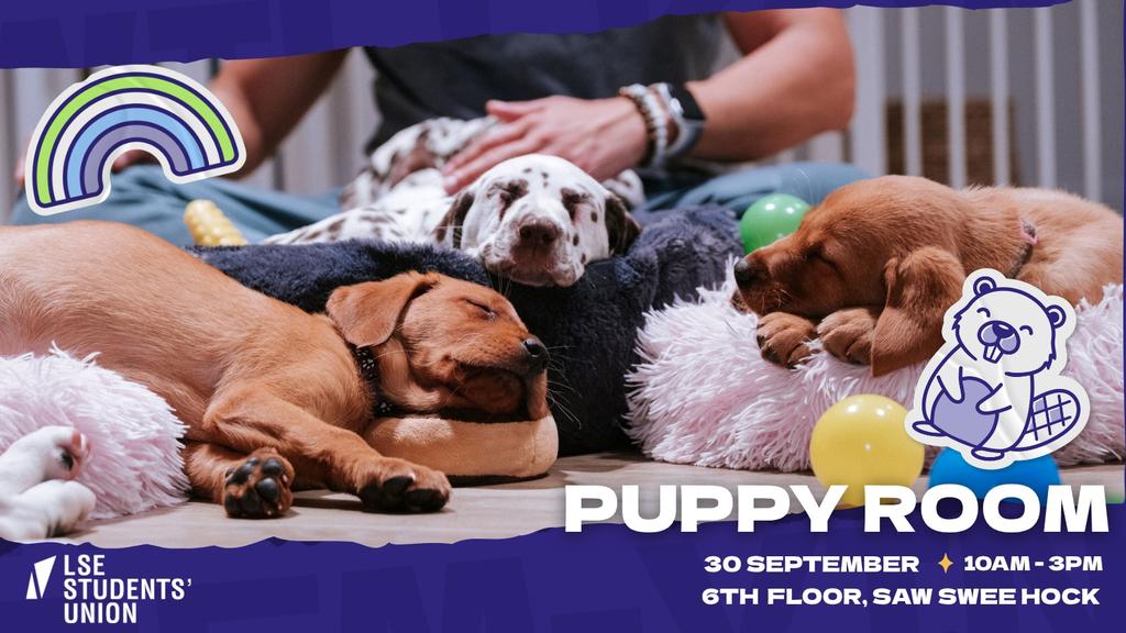 Welcome 2026 - Puppy Room