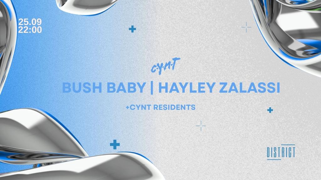 CYNT w/ Bushbaby , Hayley Zalassi + More