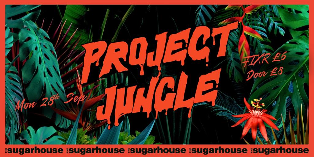 Project Jungle
