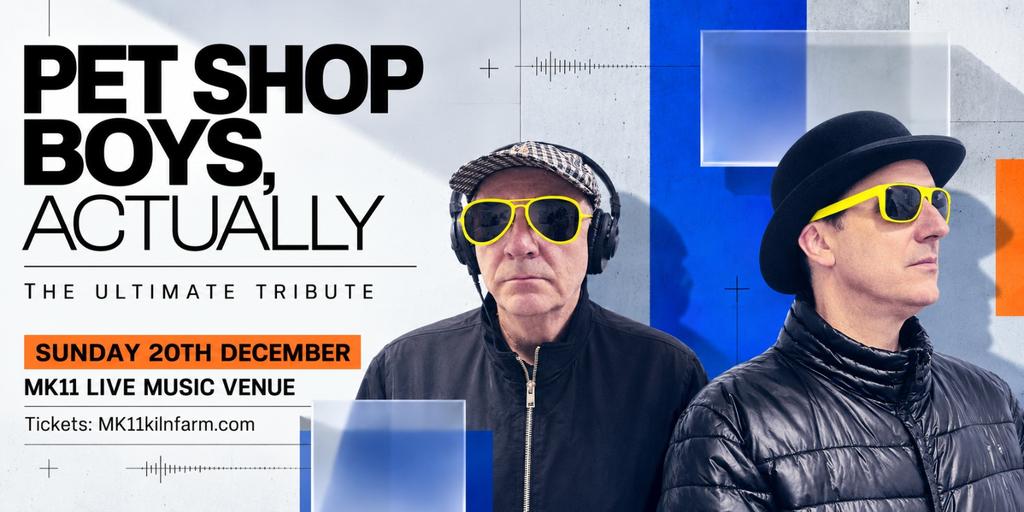 Pet Shop Boys. Actually