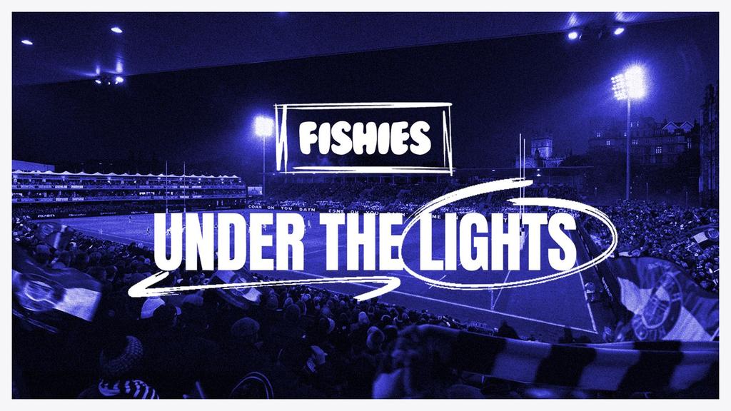 FISHIES BATH - UNDER THE NIGHT LIGHTS