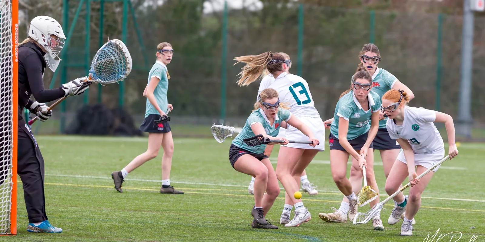Lacrosse taster