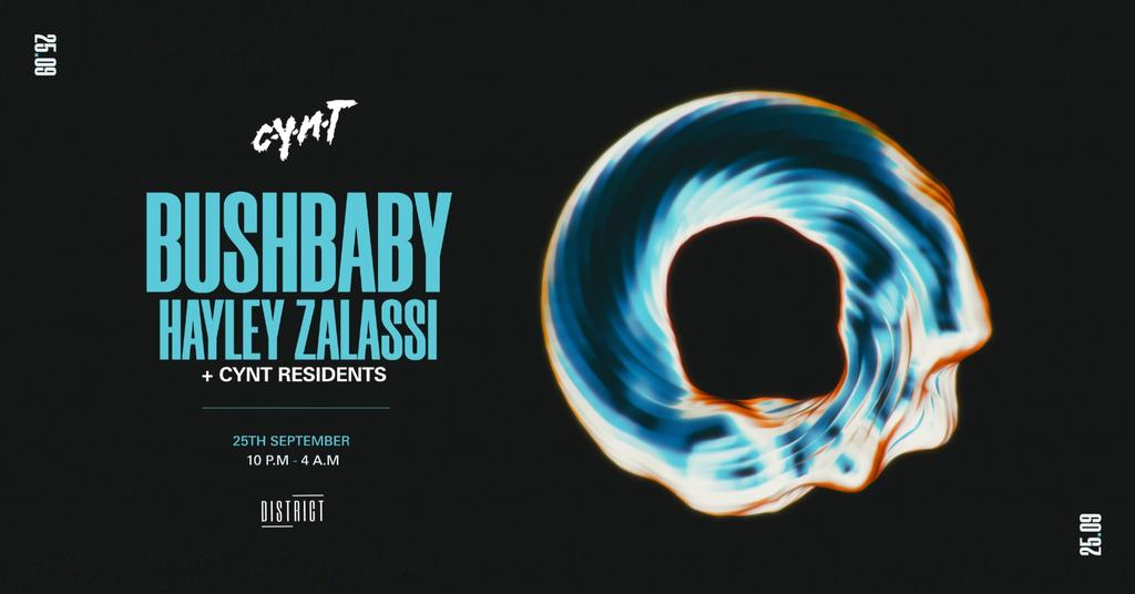 CYNT w. BUSHBABY & HAYLEY ZALASSI | District | 25.09