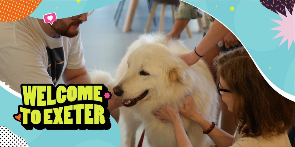Pets as Therapy - Meet Eddie!
