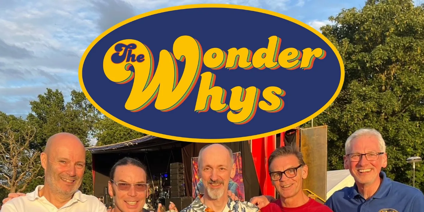 The Wonderwhys - New Year's Eve Party