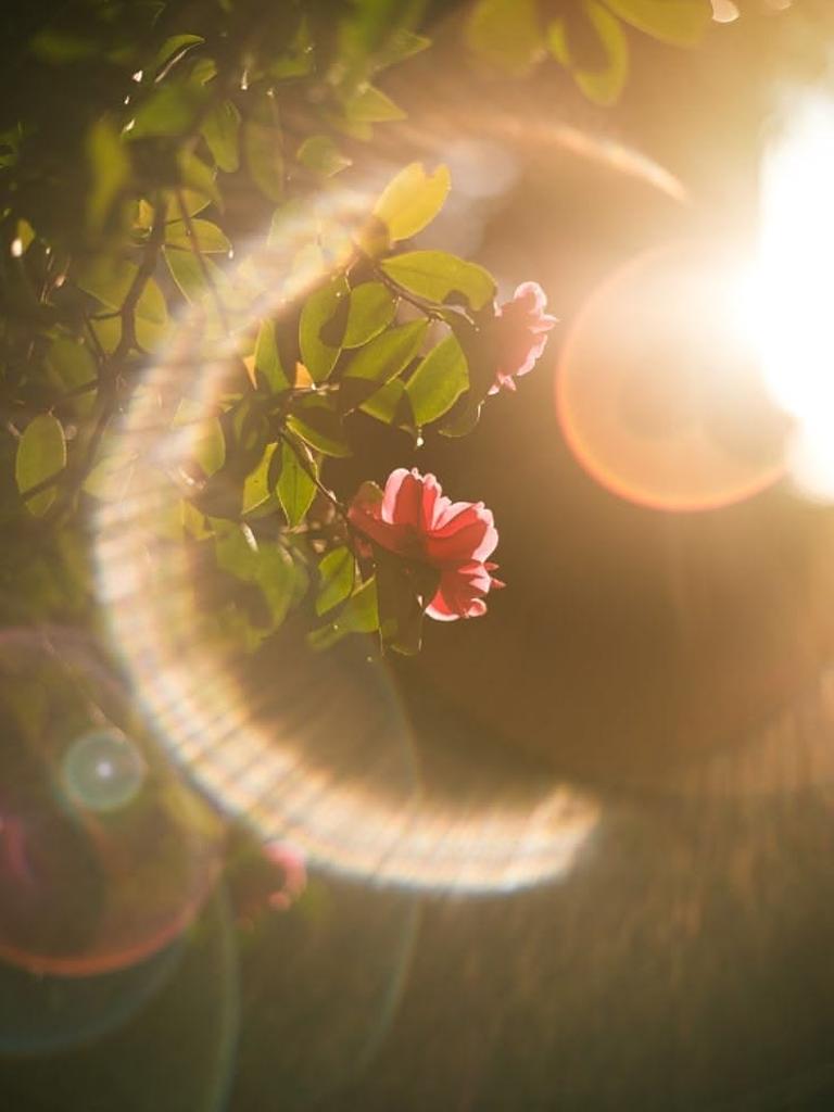 Yoga Class Tuesday Morning 29th September