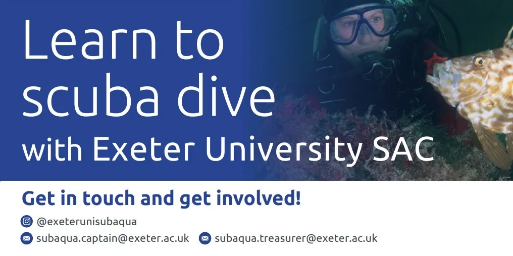 Term 1 Ocean Diver Training
