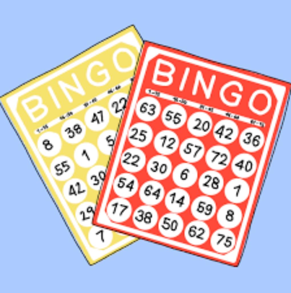 Disney Society Bingo Night