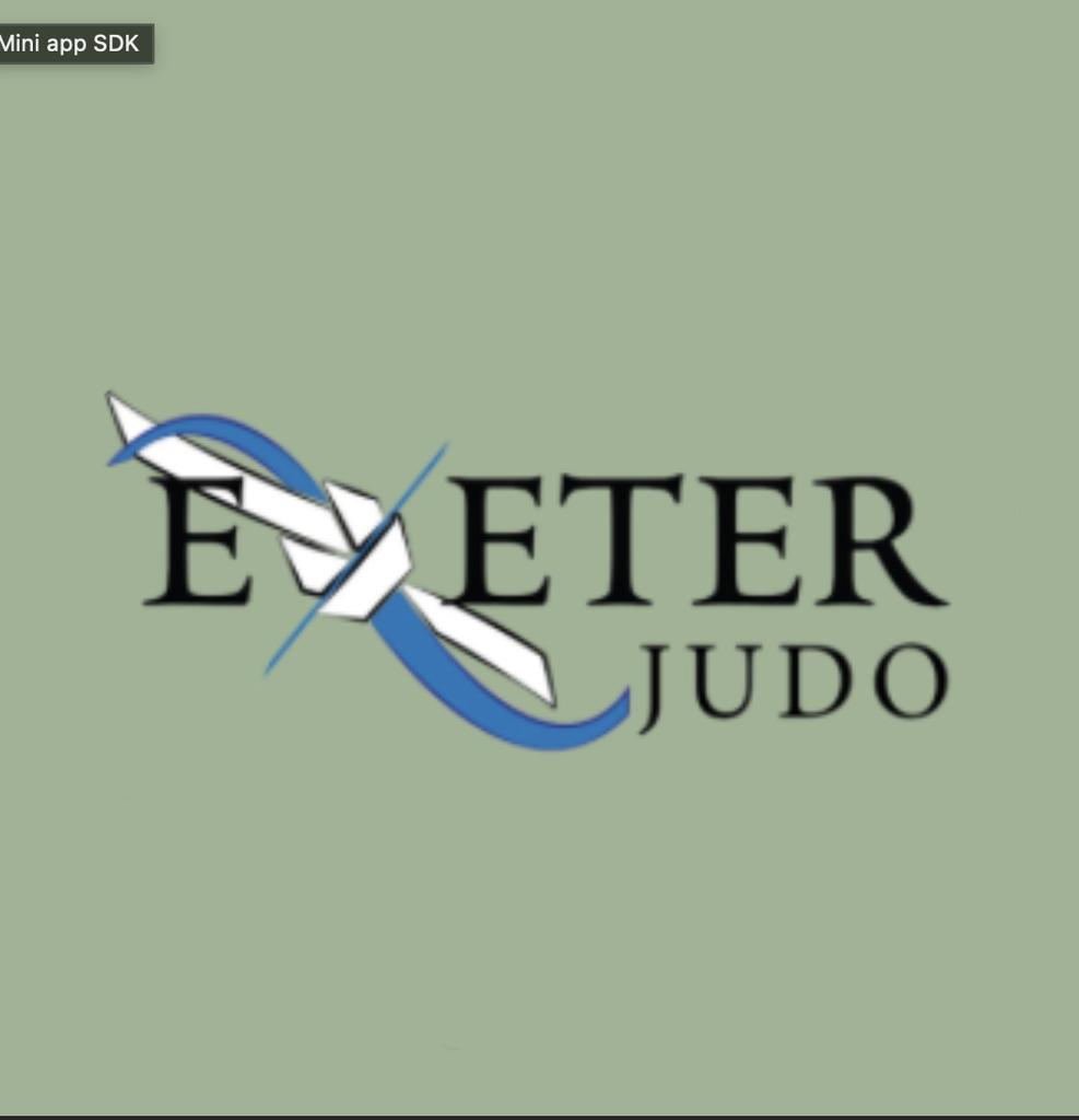 Judo training session 7/10