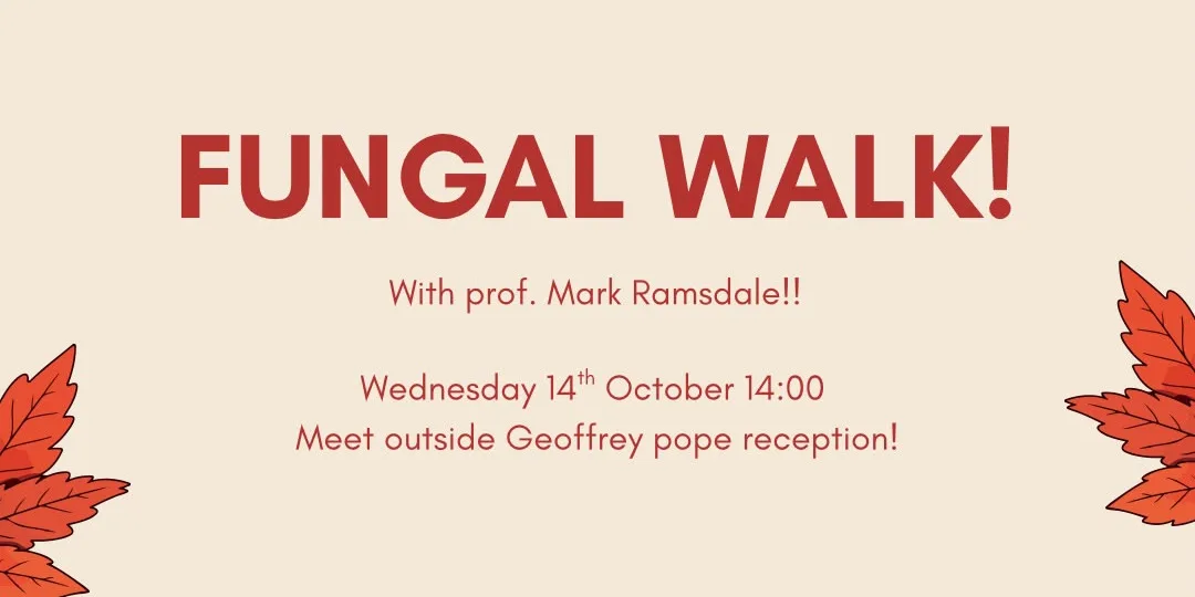 Fungal Walk