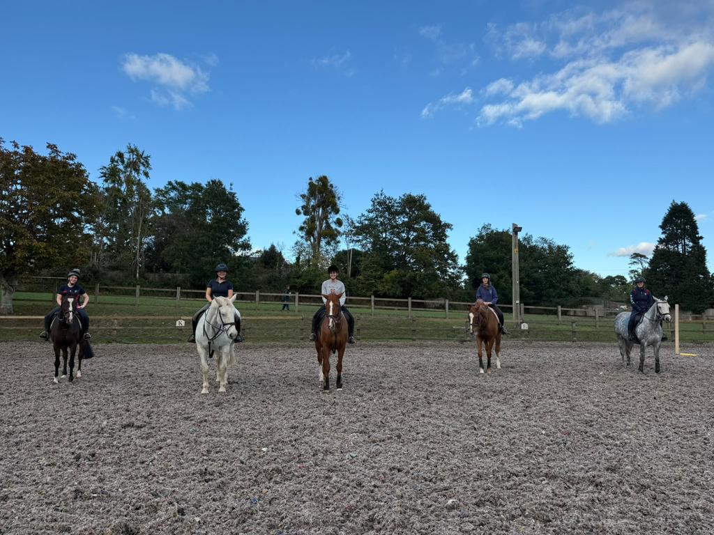 Group Lessons