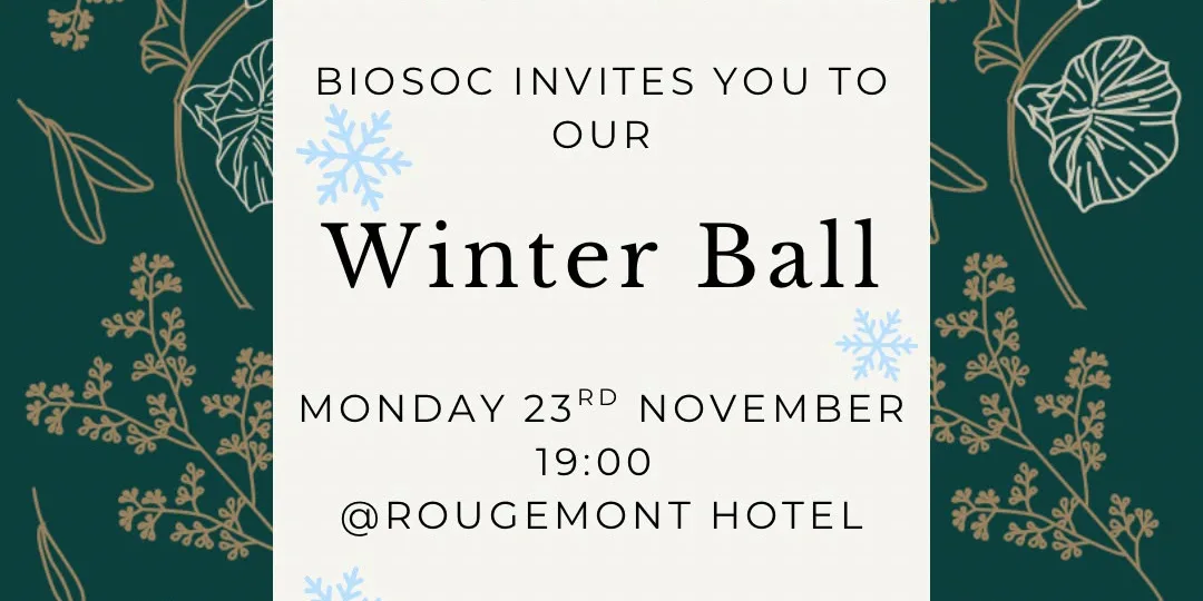 Winter Ball