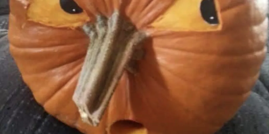 Pumpkin Carving