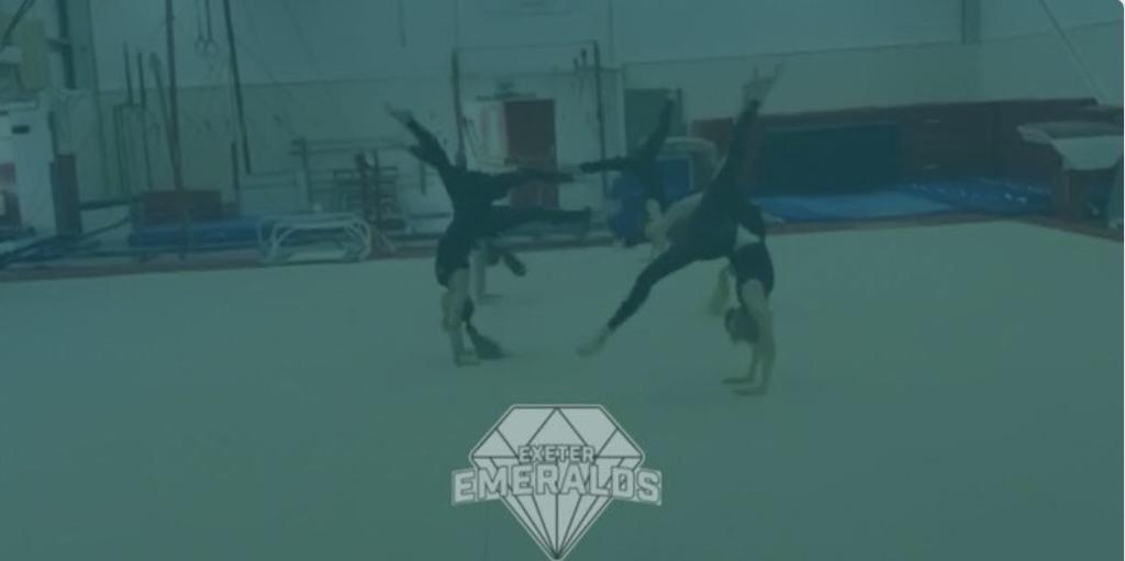 Beginners gymnastics taster