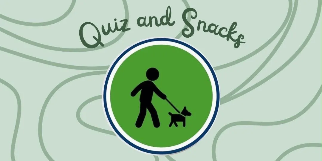 Quiz and Snacks