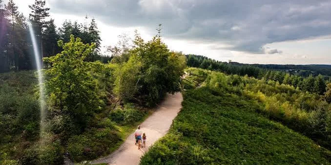 Haldon Forest Hike 🥾🧡