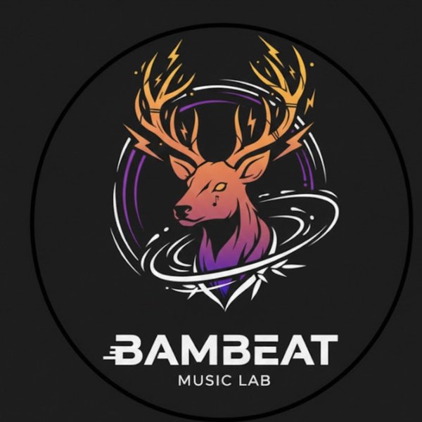 BAMBEAT MUSIC LTD