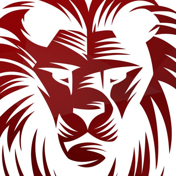Mr Lion AKA Gazzully Limited