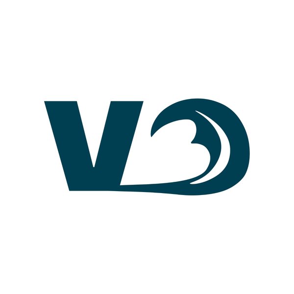 TEAM V3NTURE