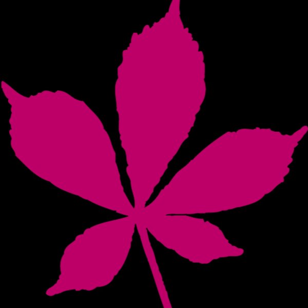 Redbridge Council