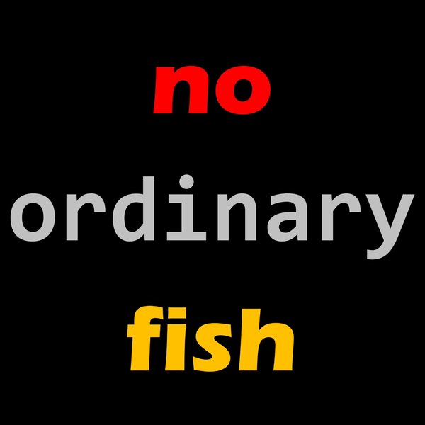 no ordinary fish