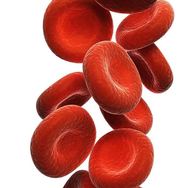 Guardian Blood Balance Australia Benefits
