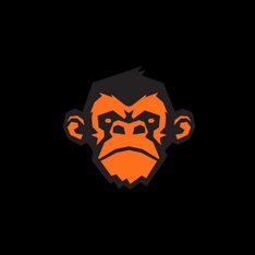 Grumpy monkey southampton